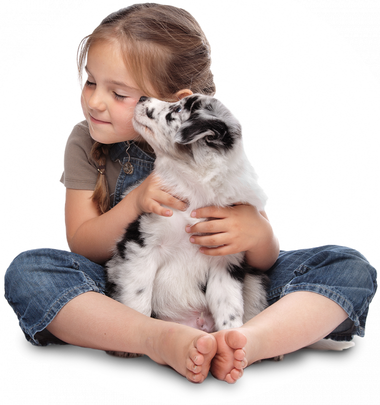 kisspng-stock-photography-puppy-girl-dog-cuteness-5ceab00e107e32.1023358215588843660676.png